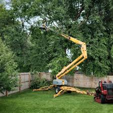 Best Tree Trimming and Pruning  in Gretna, VA