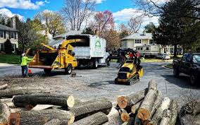 Best Emergency Tree Removal  in Gretna, VA