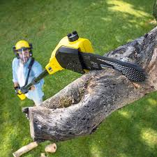 Best Aeration Services  in Gretna, VA